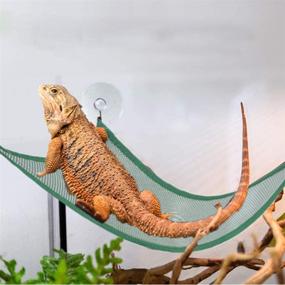 img 3 attached to 2 Pack Reptile Hammock Lounger with Ladder - Bearded Dragon Hammock Accessories for Bearded Dragons, Geckos, Lizards, and Reptiles