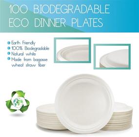 img 4 attached to 🌿 Environmentally Friendly 100 Biodegradable Compostable Eco Plates: Tree-Free Sugarcane Alternative to Paper, 9 Inch Disposable Plates