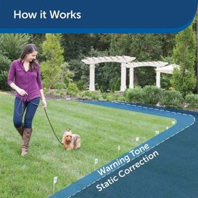 img 2 attached to 🐶 PetSafe Elite Little Dog In-Ground Fence with Waterproof Receiver Collar - Tone and Static Correction for Pets 5 lb. and Up