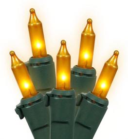 img 2 attached to 🌟 Vickerman W4G1007: 100 Light Set Gold Mini-Lights on Green Wire - Illuminate Your Space with Glamorous Elegance