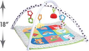 img 1 attached to 🐑 Enhancing Physical Development and Sensory Stimulation: Early Learning Centre Blossom Farm Playmat & Arch - Amazon Exclusive