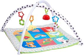 img 4 attached to 🐑 Enhancing Physical Development and Sensory Stimulation: Early Learning Centre Blossom Farm Playmat & Arch - Amazon Exclusive