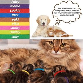 img 3 attached to 🐶 Newborn Puppy ID Collars - 60 Multicolor Whelping Collars for Pet Dogs and Cats