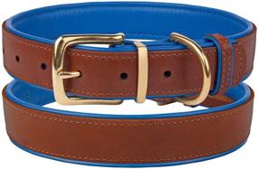 img 1 attached to 🐶 CollarDirect Soft Padded Leather Dog Collar with Brass Buckle for Small Medium Large Puppies - Red Pink Blue Green Orange Purple Yellow