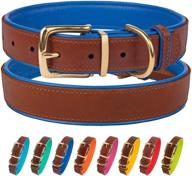🐶 collardirect soft padded leather dog collar with brass buckle for small medium large puppies - red pink blue green orange purple yellow логотип