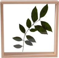 🖼️ longwin 8x8 wood picture frames: showcase botanical beauty with double sided acrylic design for plant specimens, dried leaves, and flower displays – perfect table decoration логотип