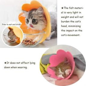 img 3 attached to 🌸 Lanyihome Cat Recovery Collar: Adorable Flower Neck Cat Cones for Post-Surgery Care - Adjustable E Collar for Cats, Kittens, and Rabbits (2pcs)