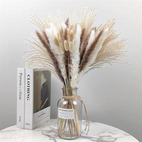 img 3 attached to 75Pcs，Natural Pampas 17Inch Arrangements Wedding