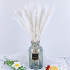 img 1 attached to 75Pcs，Natural Pampas 17Inch Arrangements Wedding