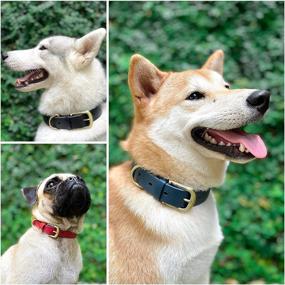 img 2 attached to 🐶 Tuff Pupper Classic 'Lifetime' Heavy Duty Dog Collar: Strong, Waterproof, and Odor Free - A Life-Long Investment