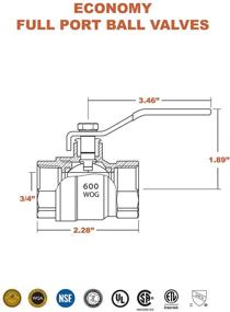 img 1 attached to Everflow Supplies 600T034 NL Винтовые соединения: Надежное, долговечное решение для ваших потребностей в сантехнике.