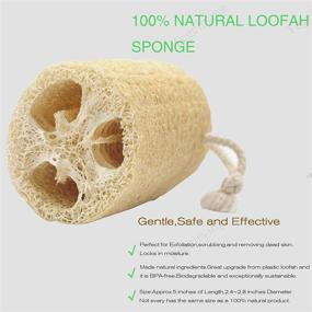 img 2 attached to Enhance Body Care with Exfoliating Loofah and Soap Mold Kit: Natural Sponges + Silicone Tray for Skin Cleansing and Mold Making