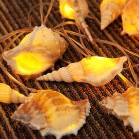 img 4 attached to 10-Foot Beach-Themed Conch String Lights, Battery Operated with 10 🏖️ Warm White LED Lights for Bedroom, Wedding, and Holiday Party Decorations