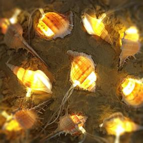 img 3 attached to 10-Foot Beach-Themed Conch String Lights, Battery Operated with 10 🏖️ Warm White LED Lights for Bedroom, Wedding, and Holiday Party Decorations