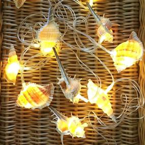 img 1 attached to 10-Foot Beach-Themed Conch String Lights, Battery Operated with 10 🏖️ Warm White LED Lights for Bedroom, Wedding, and Holiday Party Decorations