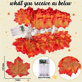 img 2 attached to 🍁 Autumn Fall Decor - Maple Leaf Lighted Garland Home Decorations | Thanksgiving String Lights 39.37ft/120LED | Halloween & Autumn Party Ornament (Batteries Not Included)