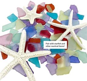 img 2 attached to 🌊 Exquisite Nautical Crush Trading Sea Glass Mix: 11 Ounces of Vibrantly Colored Sea Glass for Art Crafts, Decor, and Bulk Purchase