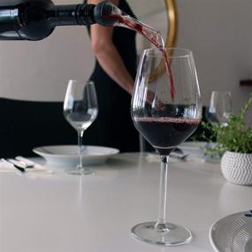 img 1 attached to Wine Aerator and Wine Saver Pump Set by Barvivo - Pour, Aerate, Preserve Your Red Wine and Enhance its Flavor 3-Fold, Extending Freshness for Days.