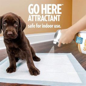 img 2 attached to 🐾 OUT! PetCare Go Here Attractant Indoor & Outdoor Training Spray - House-Training Aid for Puppies & Dogs, 32 oz