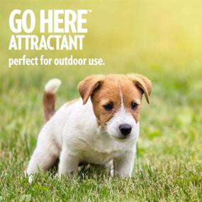 img 1 attached to 🐾 OUT! PetCare Go Here Attractant Indoor & Outdoor Training Spray - House-Training Aid for Puppies & Dogs, 32 oz