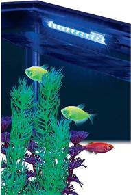 img 2 attached to 🐠 GloFish Blue LED Light - 6 Inch, Ideal for Aquariums Up To 10 Gallons