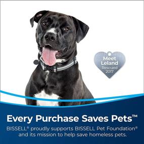 img 3 attached to 🐾 BISSELL MultiClean Allergen Lift-Off Pet Vacuum - HEPA Filter Sealed System, Model 2998