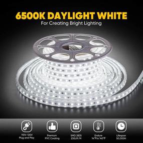 img 3 attached to 🌟 Shine Decor 50FT LED Rope Lights - Cool White, Cold-Resistant, Flexible & Connectable, IP65 Waterproof for Indoor & Outdoor Decorative Lighting - Cuttable, 6500K, AC110V-120V, Strip Lights Kit