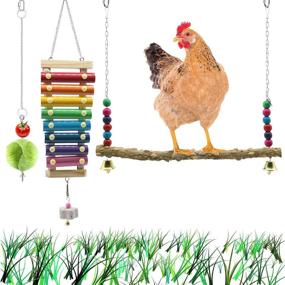 img 4 attached to 🐔 ELIVER 3PCS Chicken Swing Toys: Handmade Natural Wooden Stand for Hens with Xylophone Toy - Coop Accessories Swing Toys, Vegetable Fruits Hanging Feeder Holder