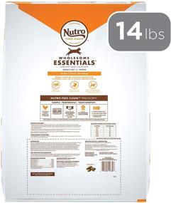 img 3 attached to 🐱 Nutro Wholesome Essentials Indoor and Sensitive Digestion Dry Cat Food with Chicken: Optimal Nutrition for Indoor Cats