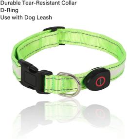 img 1 attached to 🐶 Mihealpet Led Dog Collar: USB Rechargeable, Adjustable & Safe Luminous Collar for Small Medium Large Dogs