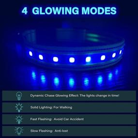 img 2 attached to 🐶 Mihealpet Led Dog Collar: USB Rechargeable, Adjustable & Safe Luminous Collar for Small Medium Large Dogs