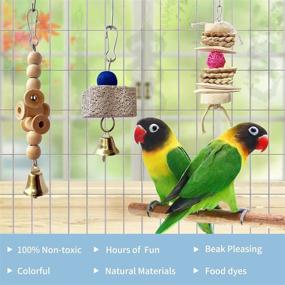 img 1 attached to Tu Bird Toys Parrots Accessories