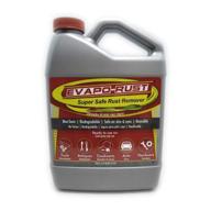 🔧 evapo-rust er004 super safe rust remover – 32 oz., non-toxic rust remover for automotive parts, hardware, antiques, rust dissolvers, and chemicals logo