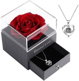 img 3 attached to Preserved Rose Drawer: A Romantic Gift for Her on Valentine's Day & Mother's Day, includes 'Love You' Necklace in 100 Languages - Red Rose