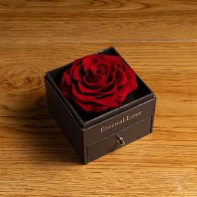 img 1 attached to Preserved Rose Drawer: A Romantic Gift for Her on Valentine's Day & Mother's Day, includes 'Love You' Necklace in 100 Languages - Red Rose