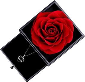 img 2 attached to Preserved Rose Drawer: A Romantic Gift for Her on Valentine's Day & Mother's Day, includes 'Love You' Necklace in 100 Languages - Red Rose