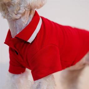 img 2 attached to 🐶 Ispet Dog Shirts: Stylish and Comfy Cotton Polo T-Shirts for Small to Medium Dogs