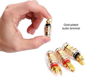 img 3 attached to 🔌 Gold Plated Binding Post Banana Plugs for Speaker Amplifier Terminals | 4MM Plug with Transparent Covers | Connectors in Red & Black | 2 Pairs (Small-Short)