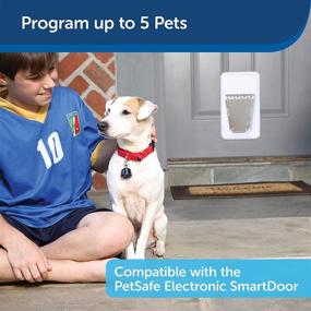 img 3 attached to SmartDoor by PetSafe - Dog and Cat Door Activated by Collar - Ideal for Small to Large Pets