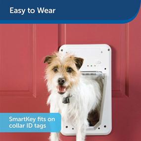 img 1 attached to SmartDoor by PetSafe - Dog and Cat Door Activated by Collar - Ideal for Small to Large Pets