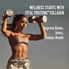 img 2 attached to 🍫 Vital Performance Protein Powder: Lactose-Free Milk Protein Isolate, NSF for Sport Certified, Grass-Fed Collagen Peptides, EAAs, BCAAs - Chocolate, Gluten-Free