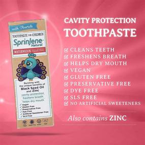 img 1 attached to Toothpaste Fluoride Protection SLS Free Watermelon