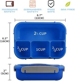 img 3 attached to 🥪 Mataidee Bento Lunch Box - Leak-Proof, 5 Cup Insulated Container with 4 Compartments, Fork Included - Ideal for Toddler, Kids and Adults - Blue, Microwave/Dishwasher/Freezer Safe