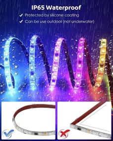 img 1 attached to 🌈 High-Quality WS2811 Digital Addressable LED Strip: Aclorol Programmable 5050 RGB 5M 300 LED Strip Dream Color White PCB Waterproof IP65 - 12V