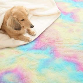 img 1 attached to 🌈 Soft Rainbow Rug for Girls Room: 5 x 8 Feet Fuzzy Cute Colorful Area Rug for Kid Bedroom Nursery - Home Decor Floor Carpet by Toneed