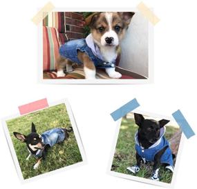img 1 attached to 👕 Companet Breathable Pet Clothes: Soft and Cool Summer Clothes for Small Medium Dogs Cats - Dog Jeans Jacket Blue Denim CoatLapel Vests: Classic Puppy Blue Vintage Washed Clothes Hoodie Vest