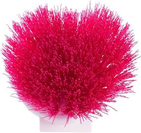 img 2 attached to 🧽 Fuller Brush Soft Bristle Scrub Dish Brush - Premium All-Around Heavy Duty Scrubber and Scraper for Scratch-Free Cleaning of Kitchen Dishes, Pots, Bamboo Bowls, Fish Tank, Window Sills