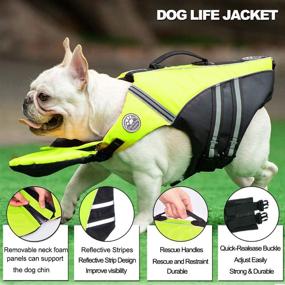 img 3 attached to 🐶 Optimized French Bulldog Life Jacket - Pet Life Vest with Handle & Reflective Design for Swim, Pool, Beach, Boating