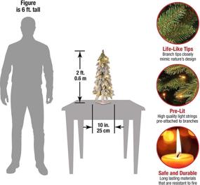 img 2 attached to 🌲 National Tree Company Pre-Lit 2-Foot Snowy Downswept Christmas Tree - Green with White Lights and Stand