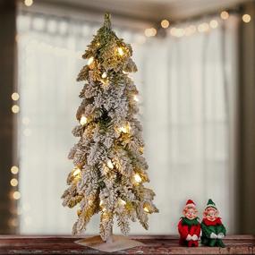 img 3 attached to 🌲 National Tree Company Pre-Lit 2-Foot Snowy Downswept Christmas Tree - Green with White Lights and Stand